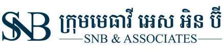 SNB & Associates